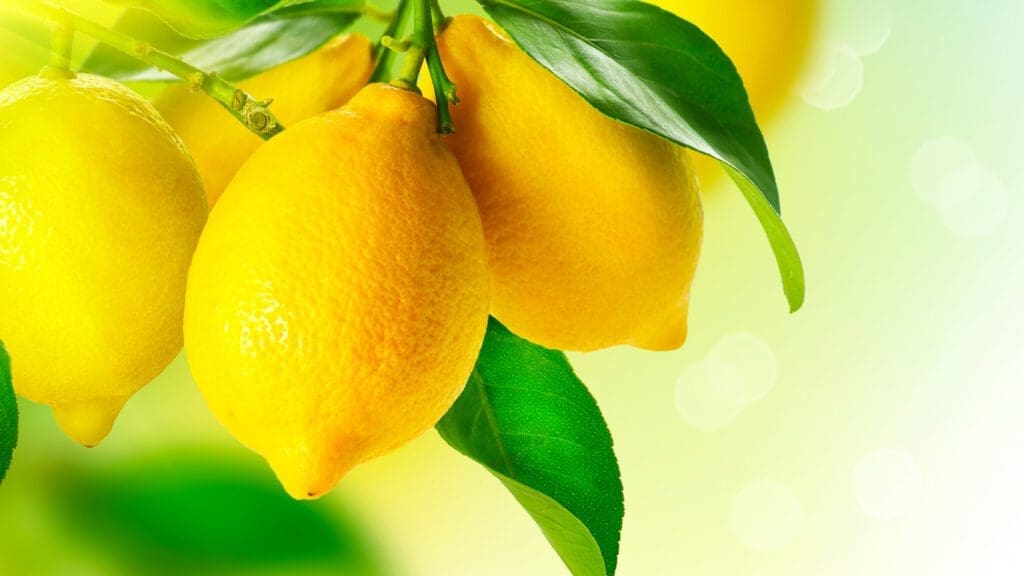 summer diffuser blends with lemon