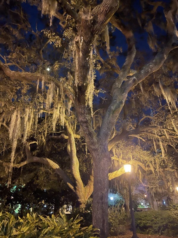 One Haunting Stroll in a City Built on the Dead – My Savannah Ghost Tour